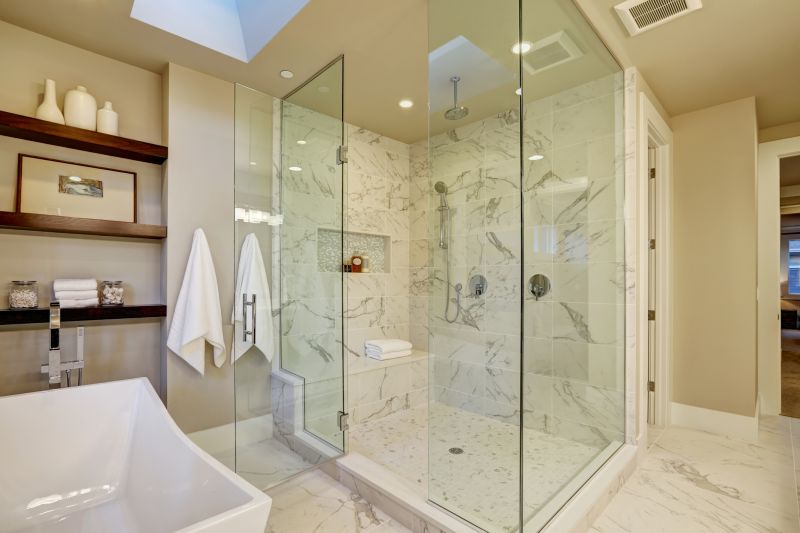 Contemporary Shower Niche